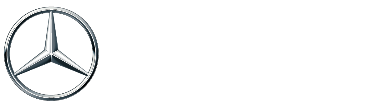 Logo for Mercedes-Benz of Mobile Polo at The Point 2014 white