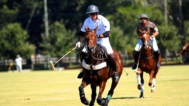 polo players at Polo at the Point